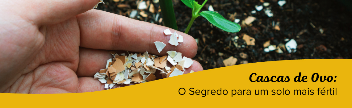 O segredo das cascas de ovo